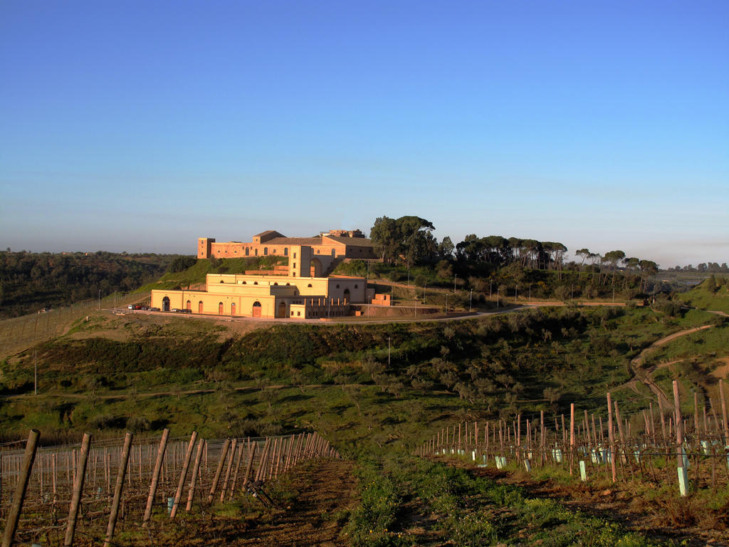 Vila Wine Relais Feudi Del Pisciotto Niscemi Exteriér fotografie